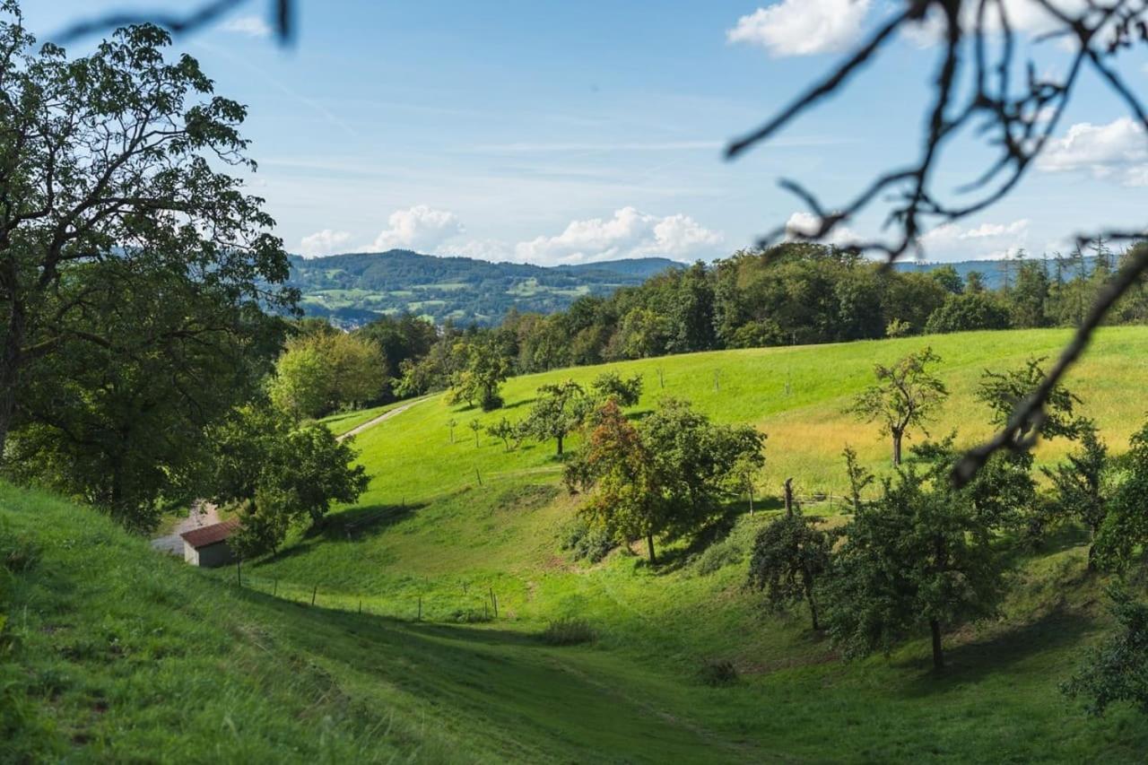 Gruenewaldhof In Rimbach Im Odenwald Apartment Ngoại thất bức ảnh