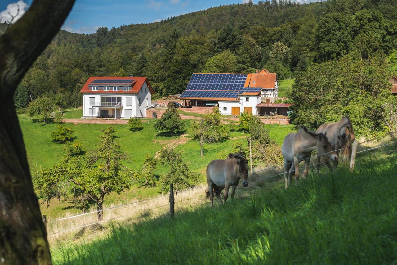 Gruenewaldhof In Rimbach Im Odenwald Apartment Ngoại thất bức ảnh