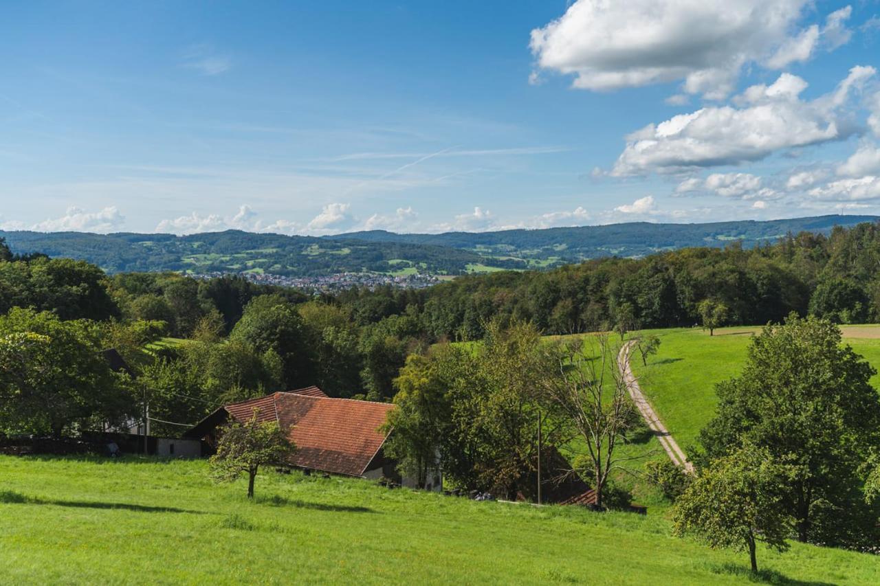 Gruenewaldhof In Rimbach Im Odenwald Apartment Ngoại thất bức ảnh