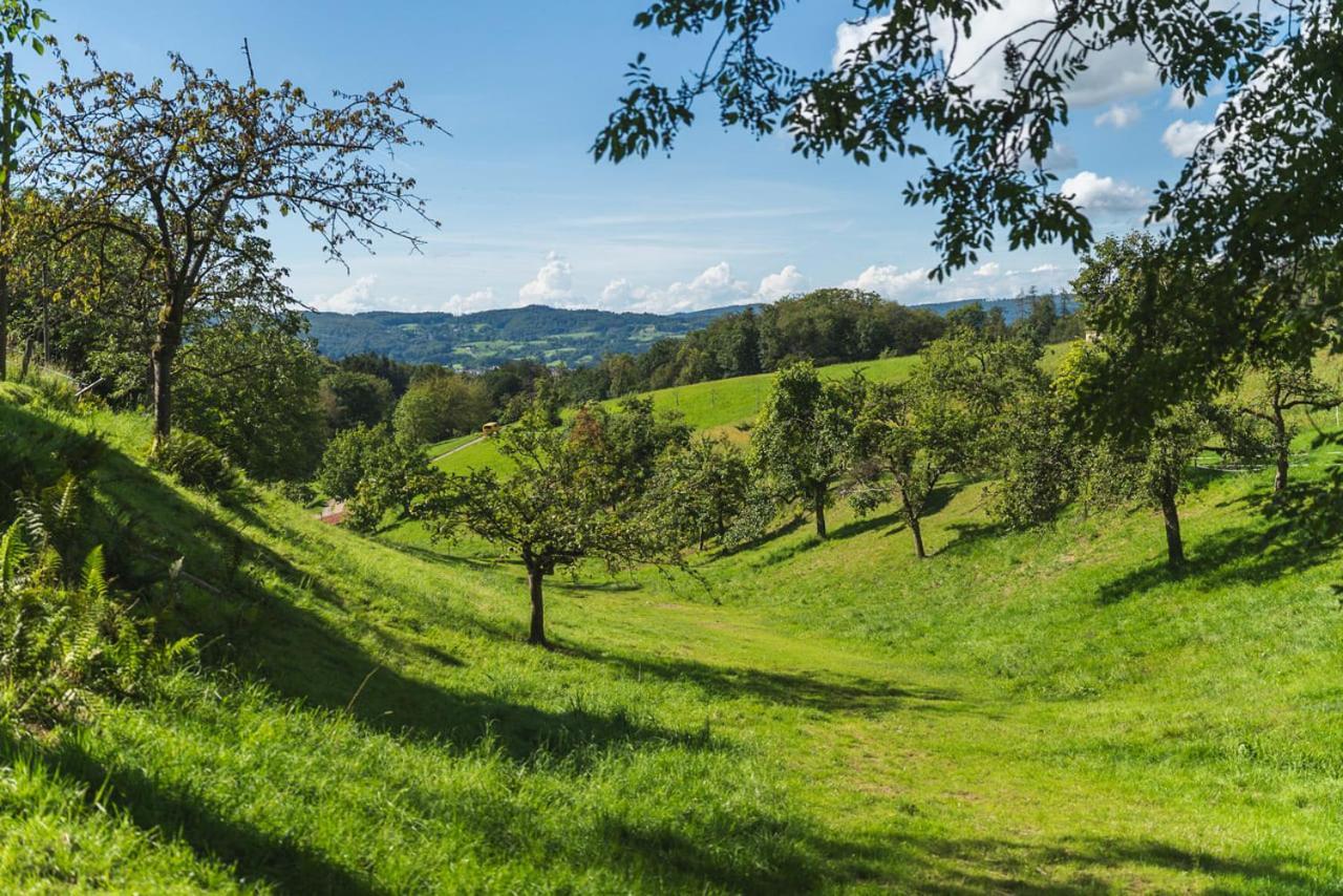 Gruenewaldhof In Rimbach Im Odenwald Apartment Ngoại thất bức ảnh